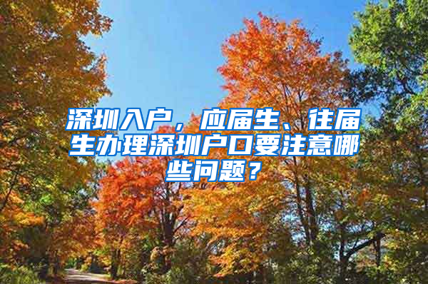 深圳入戶，應(yīng)屆生、往屆生辦理深圳戶口要注意哪些問題？