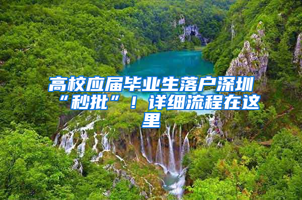 高校應(yīng)屆畢業(yè)生落戶深圳“秒批”！詳細(xì)流程在這里