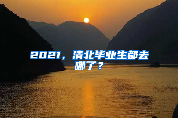 2021，清北畢業(yè)生都去哪了？