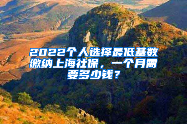 2022個(gè)人選擇最低基數(shù)繳納上海社保，一個(gè)月需要多少錢(qián)？