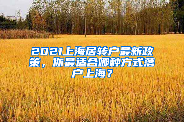 2021上海居轉(zhuǎn)戶最新政策，你最適合哪種方式落戶上海？