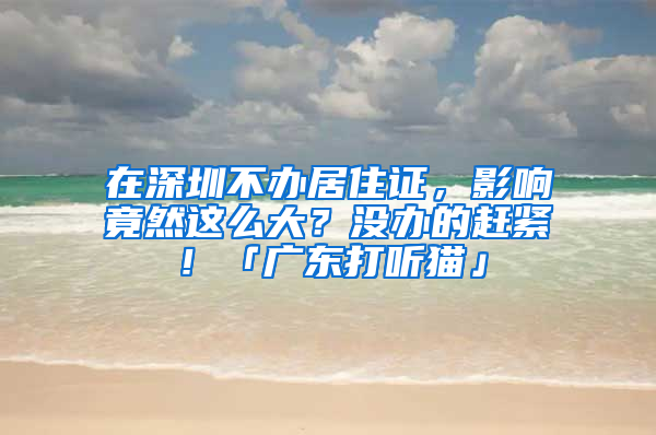 在深圳不辦居住證，影響竟然這么大？沒辦的趕緊！「廣東打聽貓」