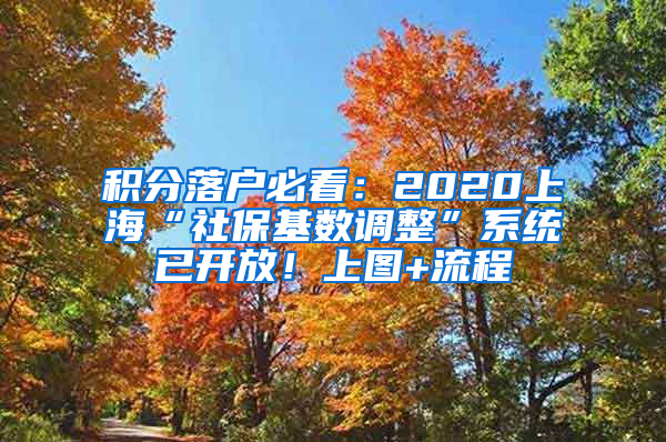 積分落戶必看：2020上?！吧绫；鶖?shù)調(diào)整”系統(tǒng)已開放！上圖+流程