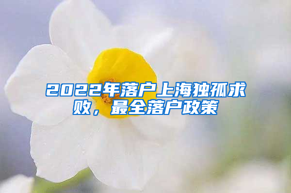 2022年落戶上海獨(dú)孤求敗，最全落戶政策