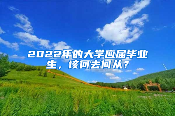 2022年的大學(xué)應(yīng)屆畢業(yè)生，該何去何從？