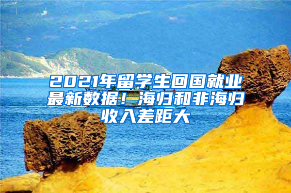 2021年留學(xué)生回國就業(yè)最新數(shù)據(jù)！海歸和非海歸收入差距大