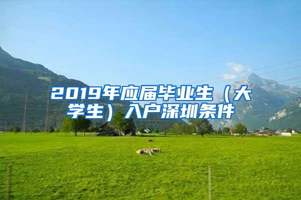 2019年應(yīng)屆畢業(yè)生（大學(xué)生）入戶深圳條件