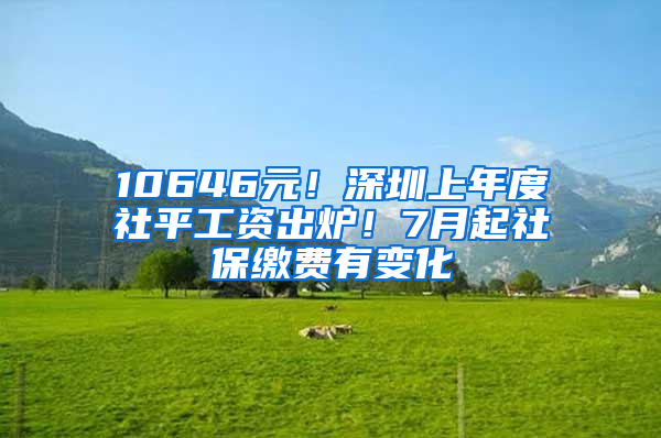 10646元！深圳上年度社平工資出爐！7月起社保繳費(fèi)有變化