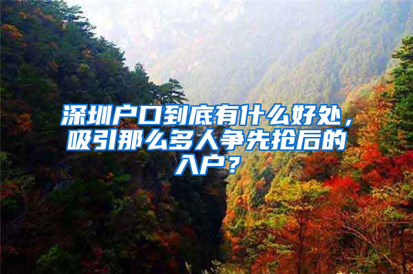 深圳戶口到底有什么好處，吸引那么多人爭先搶后的入戶？