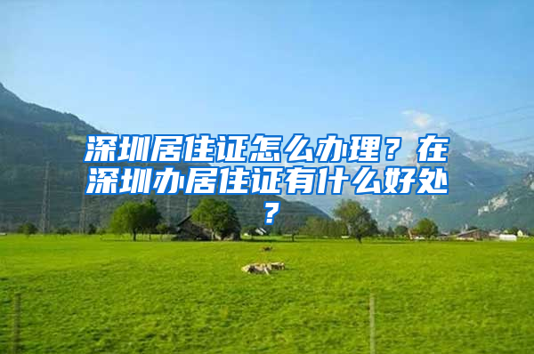 深圳居住證怎么辦理？在深圳辦居住證有什么好處？