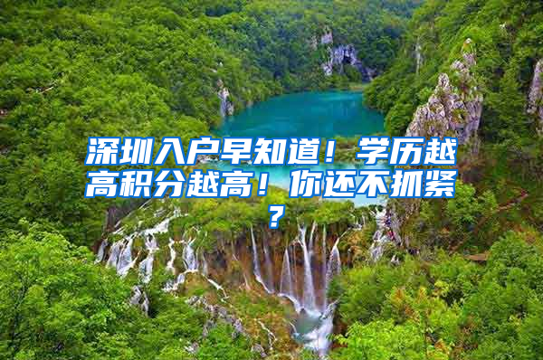 深圳入戶早知道！學(xué)歷越高積分越高！你還不抓緊？