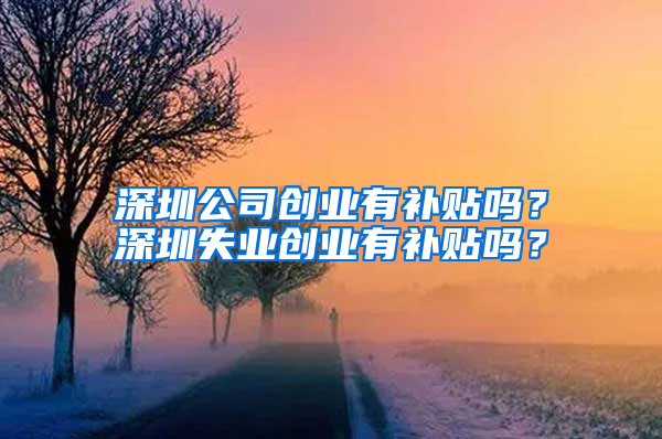 深圳公司創(chuàng)業(yè)有補貼嗎？深圳失業(yè)創(chuàng)業(yè)有補貼嗎？