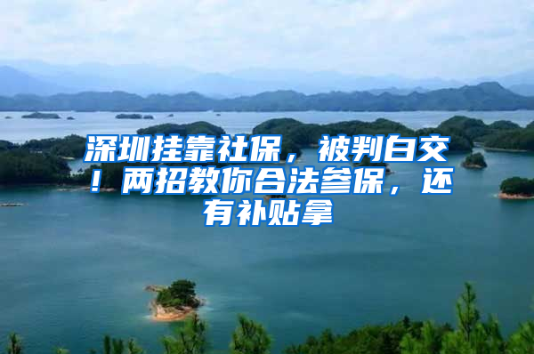 深圳掛靠社保，被判白交！兩招教你合法參保，還有補(bǔ)貼拿