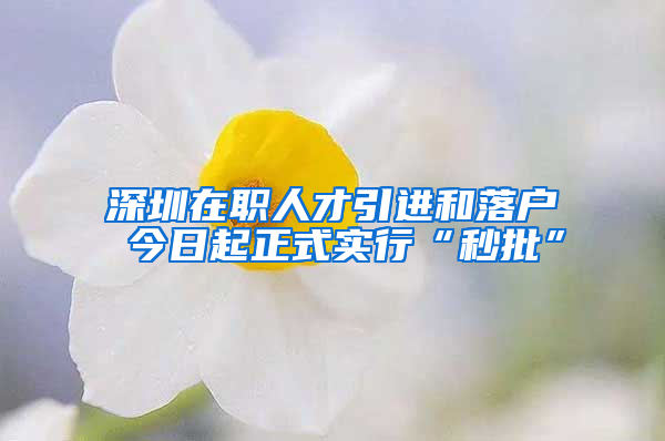 深圳在職人才引進(jìn)和落戶 今日起正式實(shí)行“秒批”