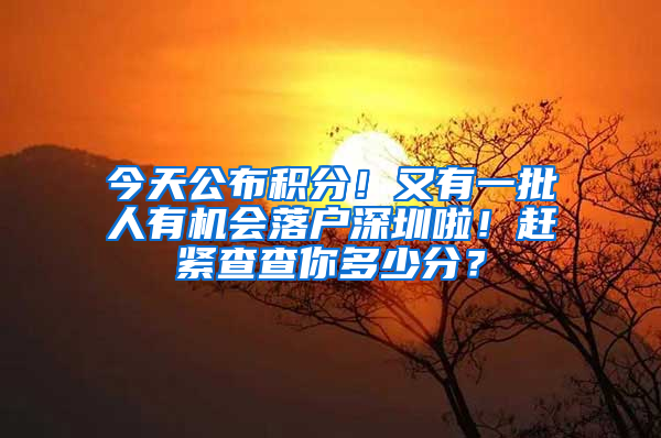 今天公布積分！又有一批人有機會落戶深圳啦！趕緊查查你多少分？