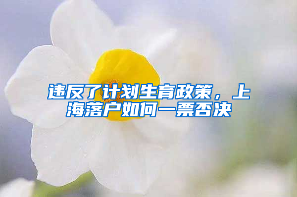 違反了計劃生育政策，上海落戶如何一票否決