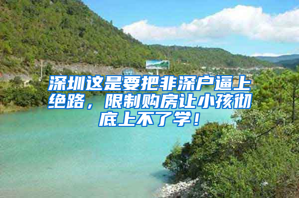 深圳這是要把非深戶逼上絕路，限制購房讓小孩徹底上不了學(xué)！