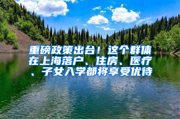 重磅政策出臺！這個(gè)群體在上海落戶、住房、醫(yī)療、子女入學(xué)都將享受優(yōu)待