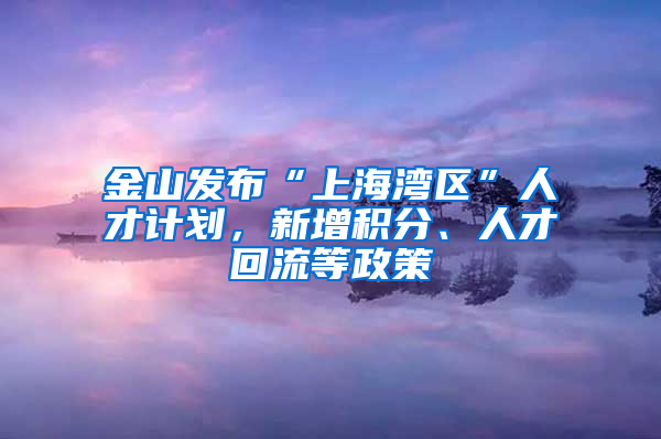 金山發(fā)布“上海灣區(qū)”人才計(jì)劃，新增積分、人才回流等政策