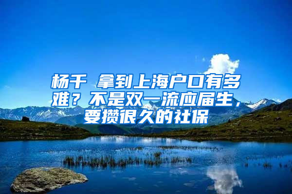 楊千嬅拿到上海戶口有多難？不是雙一流應(yīng)屆生，要攢很久的社保