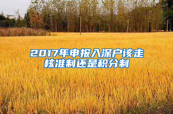 2017年申報(bào)入深戶該走核準(zhǔn)制還是積分制