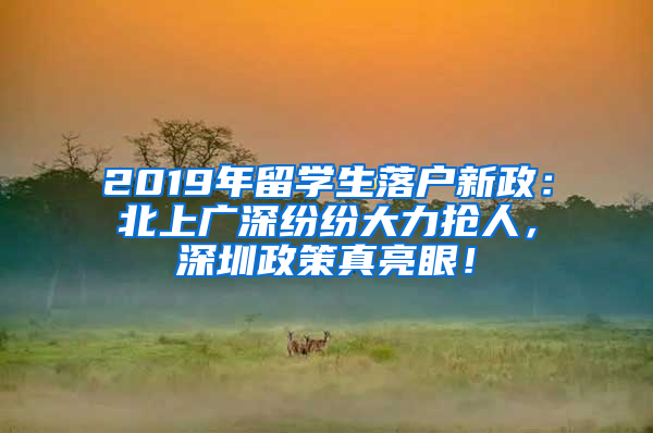 2019年留學(xué)生落戶新政：北上廣深紛紛大力搶人，深圳政策真亮眼！