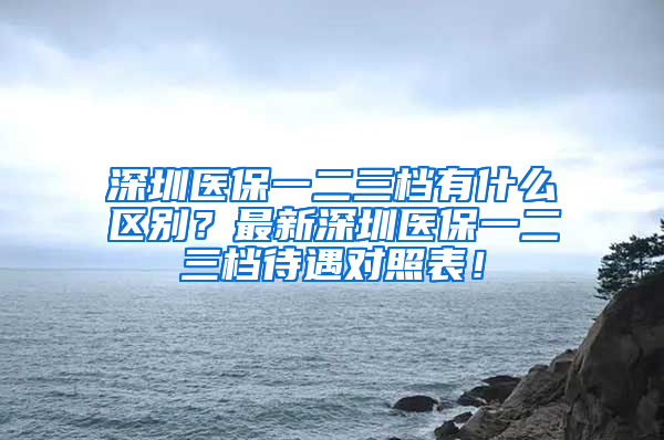 深圳醫(yī)保一二三檔有什么區(qū)別？最新深圳醫(yī)保一二三檔待遇對照表！