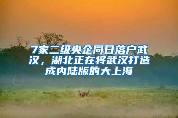 7家二級央企同日落戶武漢，湖北正在將武漢打造成內(nèi)陸版的大上海