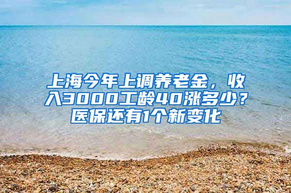 上海今年上調(diào)養(yǎng)老金，收入3000工齡40漲多少？醫(yī)保還有1個(gè)新變化