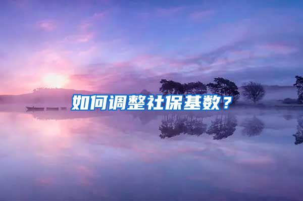 如何調(diào)整社?；鶖?shù)？