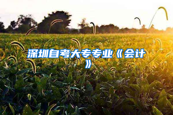 深圳自考大專專業(yè)《會(huì)計(jì)》