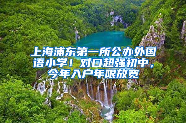 上海浦東第一所公辦外國(guó)語(yǔ)小學(xué)！對(duì)口超強(qiáng)初中，今年入戶年限放寬