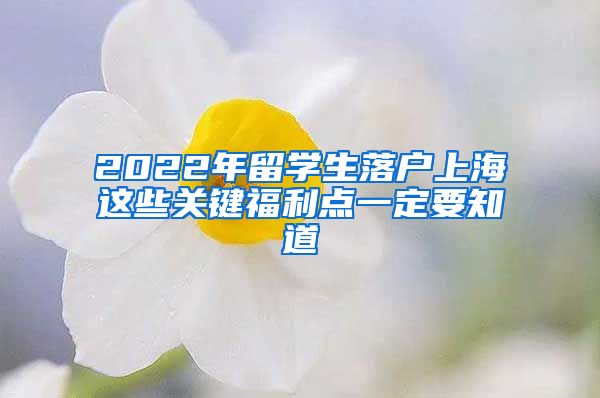 2022年留學生落戶上海這些關鍵福利點一定要知道