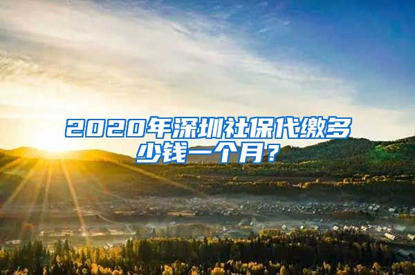 2020年深圳社保代繳多少錢一個(gè)月？