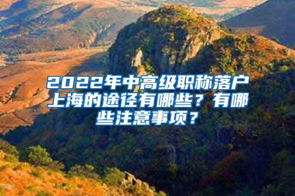 2022年中高級(jí)職稱落戶上海的途徑有哪些？有哪些注意事項(xiàng)？