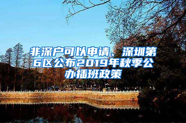 非深戶(hù)可以申請(qǐng)、深圳第6區(qū)公布2019年秋季公辦插班政策