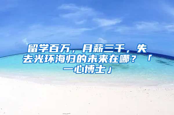 留學百萬，月薪三千，失去光環(huán)海歸的未來在哪？「一心博士」