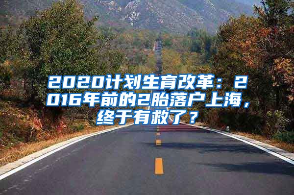 2020計劃生育改革：2016年前的2胎落戶上海，終于有救了？