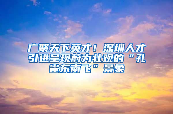 廣聚天下英才！深圳人才引進(jìn)呈現(xiàn)蔚為壯觀的“孔雀東南飛”景象