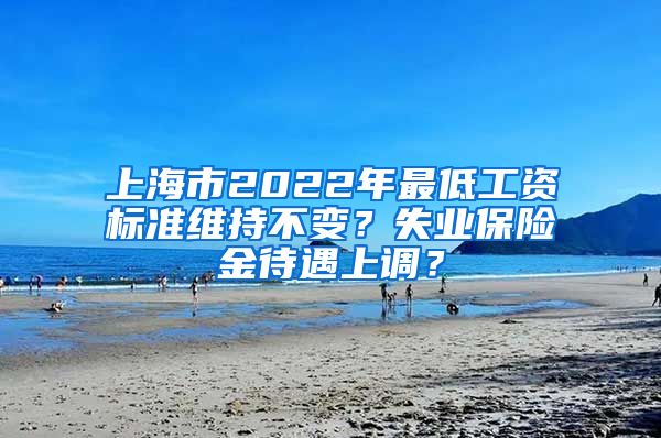 上海市2022年最低工資標(biāo)準(zhǔn)維持不變？失業(yè)保險金待遇上調(diào)？