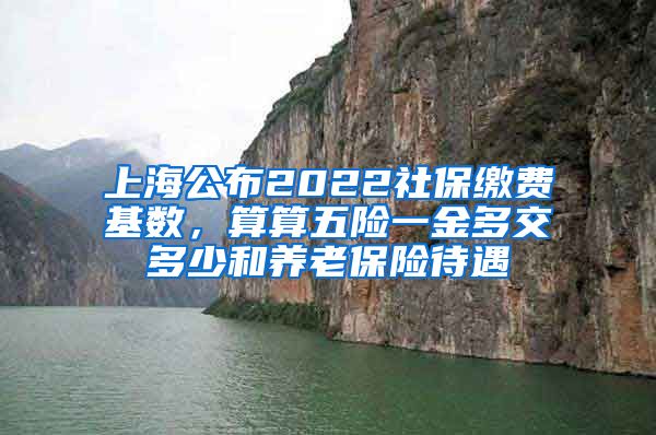 上海公布2022社保繳費(fèi)基數(shù)，算算五險一金多交多少和養(yǎng)老保險待遇