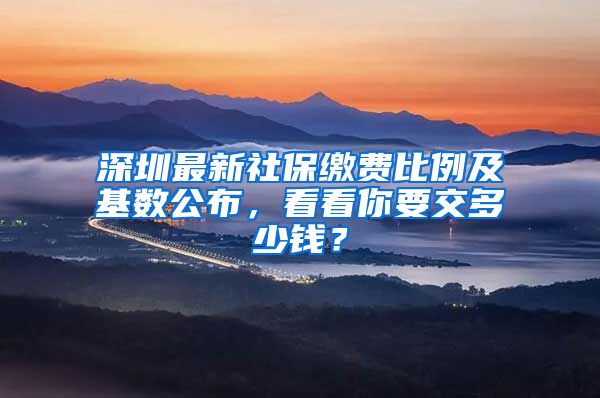 深圳最新社保繳費(fèi)比例及基數(shù)公布，看看你要交多少錢？