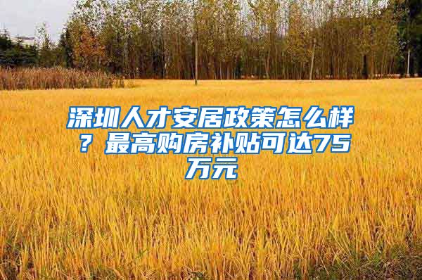 深圳人才安居政策怎么樣？最高購(gòu)房補(bǔ)貼可達(dá)75萬(wàn)元