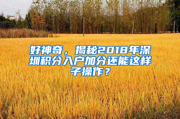 好神奇，揭秘2018年深圳積分入戶加分還能這樣子操作？