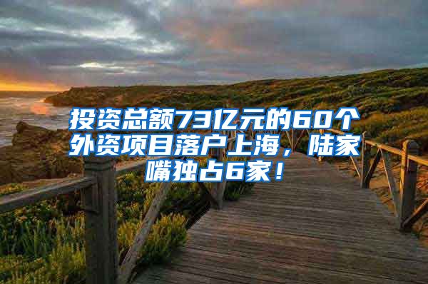 投資總額73億元的60個外資項(xiàng)目落戶上海，陸家嘴獨(dú)占6家！