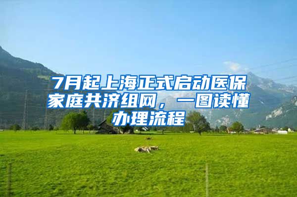 7月起上海正式啟動醫(yī)保家庭共濟(jì)組網(wǎng)，一圖讀懂辦理流程