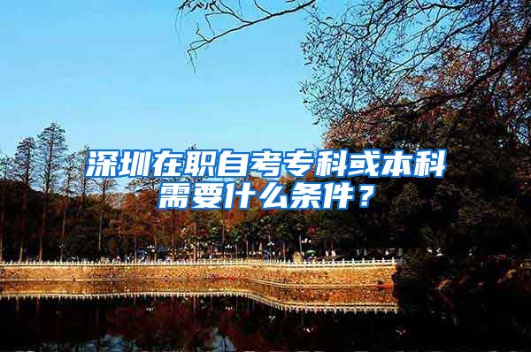 深圳在職自考專科或本科需要什么條件？