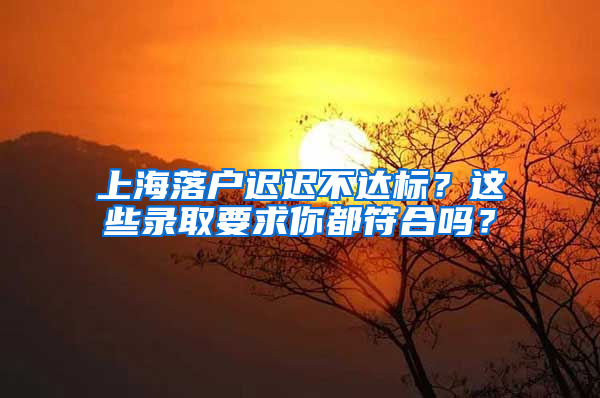 上海落戶遲遲不達(dá)標(biāo)？這些錄取要求你都符合嗎？