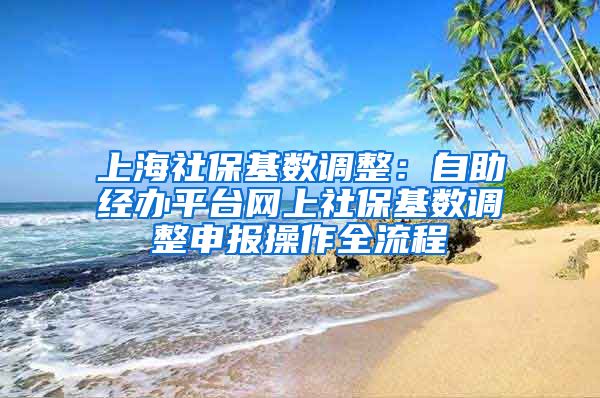 上海社?；鶖?shù)調(diào)整：自助經(jīng)辦平臺網(wǎng)上社保基數(shù)調(diào)整申報操作全流程