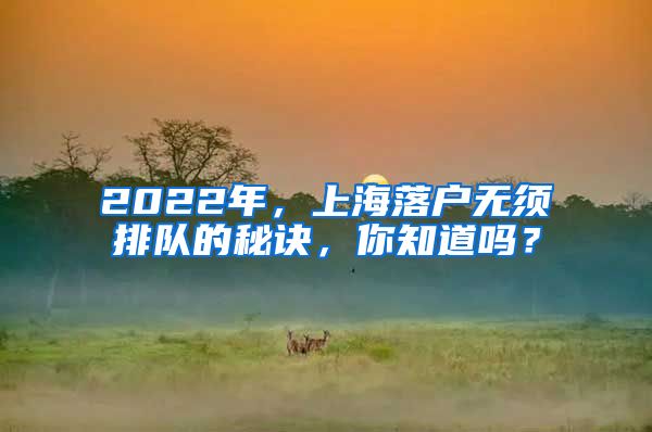 2022年，上海落戶無須排隊的秘訣，你知道嗎？